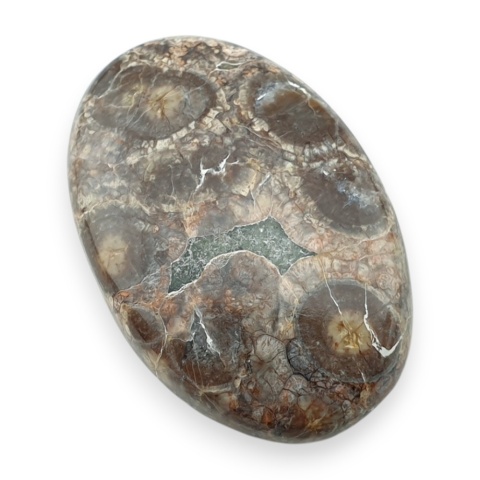 Leopard skin jasper cabochon 33x22 mm no 100