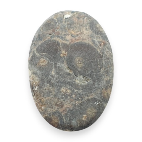 Leopard skin jasper cabochon 33x22 mm no 100
