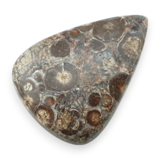 Jaspis leopardzi kaboszon 33x24 mm nr 101