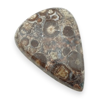 Jaspis leopardzi kaboszon 33x24 mm nr 101