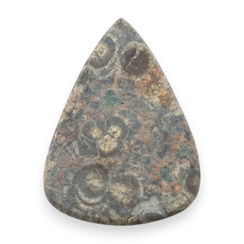 Jaspis leopardzi kaboszon 33x24 mm nr 101