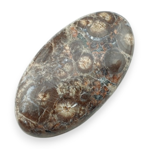 Leopard skin jasper cabochon 34x19 mm no 81