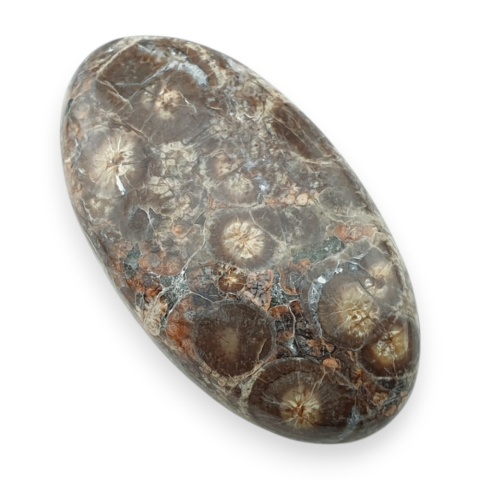 Leopard skin jasper cabochon 34x19 mm no 81
