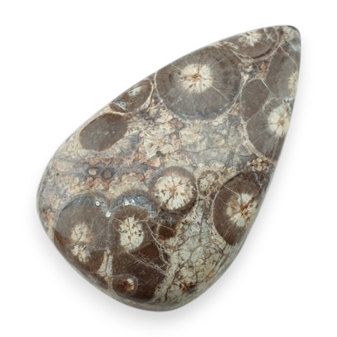 Jaspis leopardzi kaboszon 34x21 mm nr 80