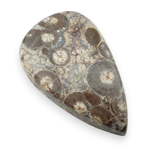 Jaspis leopardzi kaboszon 34x21 mm nr 80