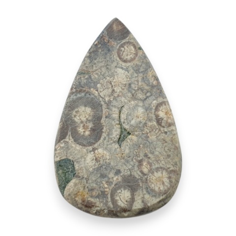 Jaspis leopardzi kaboszon 34x21 mm nr 80