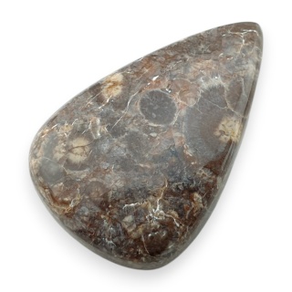 Jaspis leopardzi kaboszon 34x22 mm nr 85