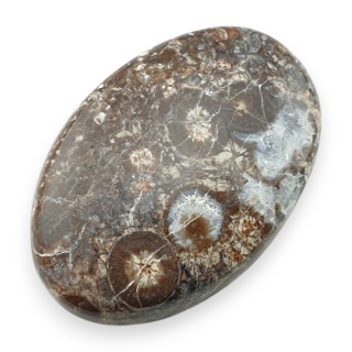 Jaspis leopardzi kaboszon 34x23 mm nr 79