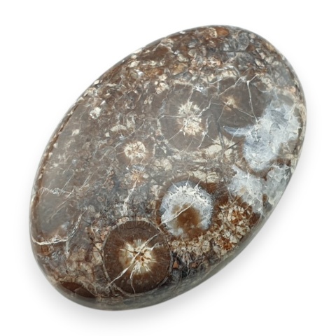 Jaspis leopardzi kaboszon 34x23 mm nr 79