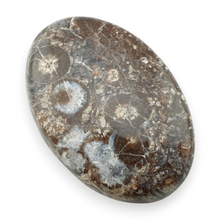 Jaspis leopardzi kaboszon 34x23 mm nr 79