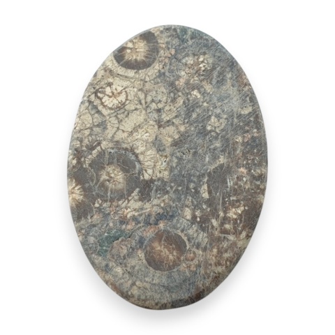 Jaspis leopardzi kaboszon 34x23 mm nr 79