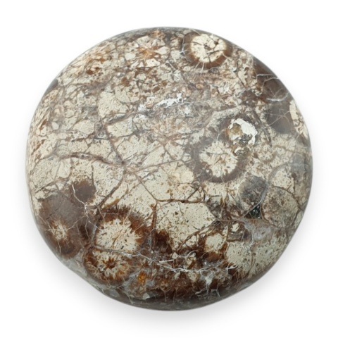 Leopard skin jasper cabochon fi 24 mm no 97