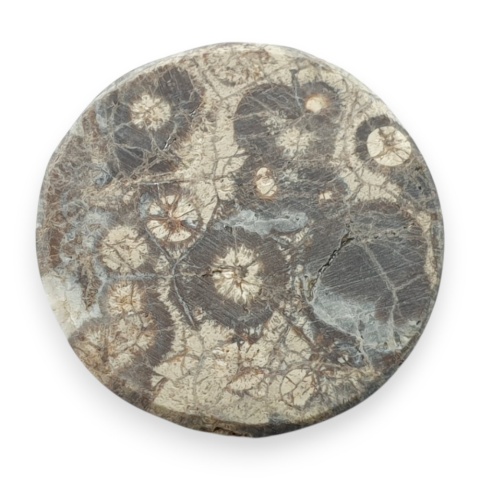 Leopard skin jasper cabochon fi 24 mm no 97