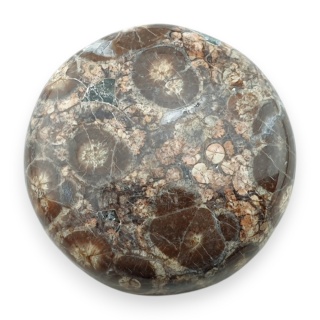 Jaspis leopardzi kaboszon fi 25 mm nr 93