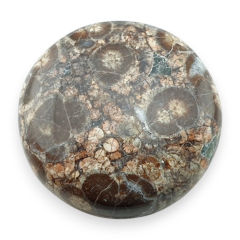 Jaspis leopardzi kaboszon fi 25 mm nr 93