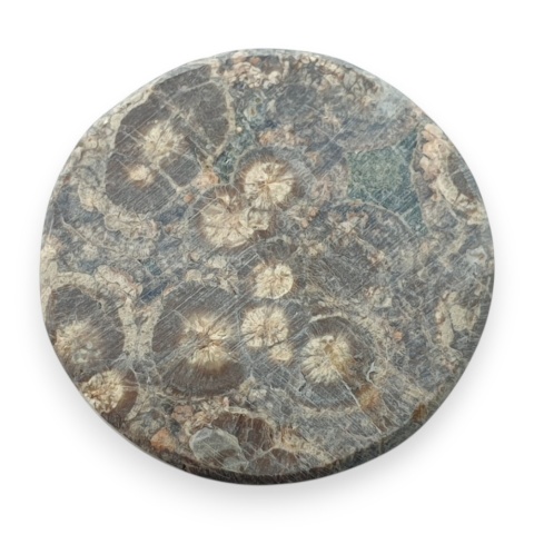 Jaspis leopardzi kaboszon fi 25 mm nr 93