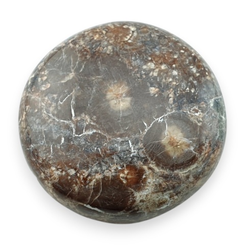 Jaspis leopardzi kaboszon fi 26 mm nr 76