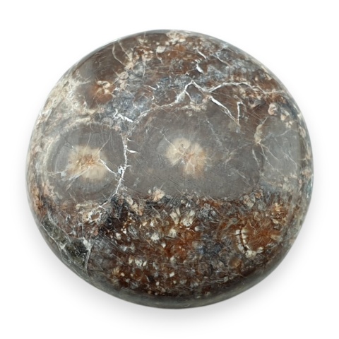 Jaspis leopardzi kaboszon fi 26 mm nr 76