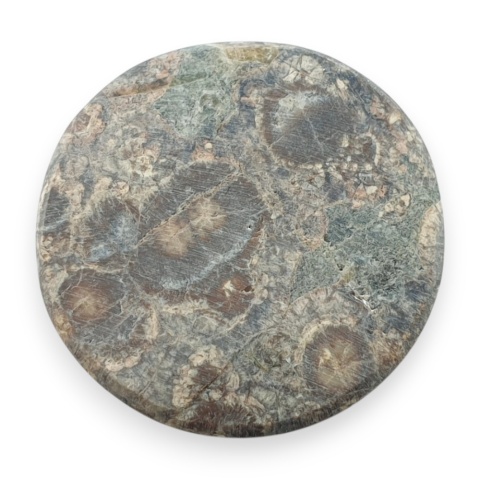 Jaspis leopardzi kaboszon fi 26 mm nr 76