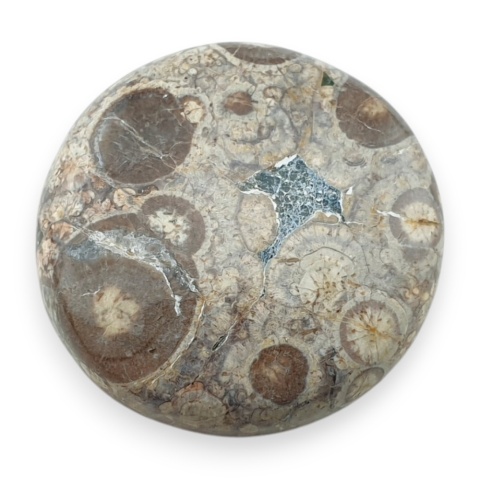 Jaspis leopardzi kaboszon fi 27 mm nr 82