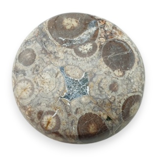 Jaspis leopardzi kaboszon fi 27 mm nr 82