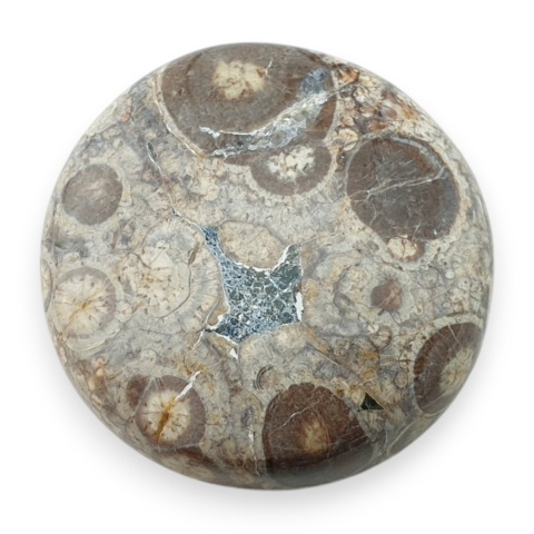 Jaspis leopardzi kaboszon fi 27 mm nr 82