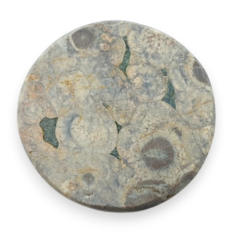 Jaspis leopardzi kaboszon fi 27 mm nr 82