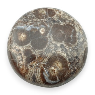 Jaspis leopardzi kaboszon fi 27 mm nr 89