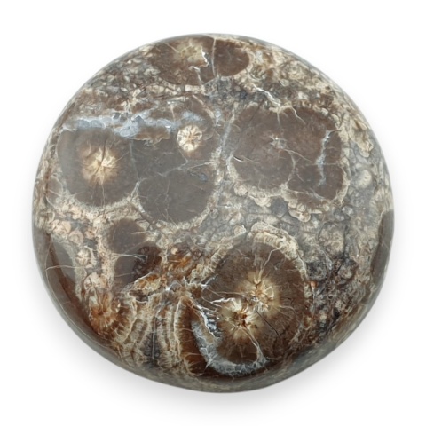 Jaspis leopardzi kaboszon fi 27 mm nr 89