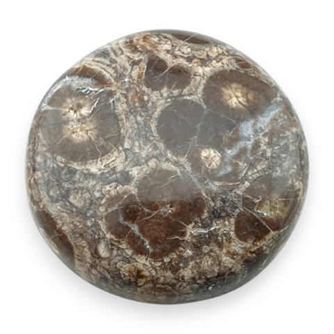 Jaspis leopardzi kaboszon fi 27 mm nr 89