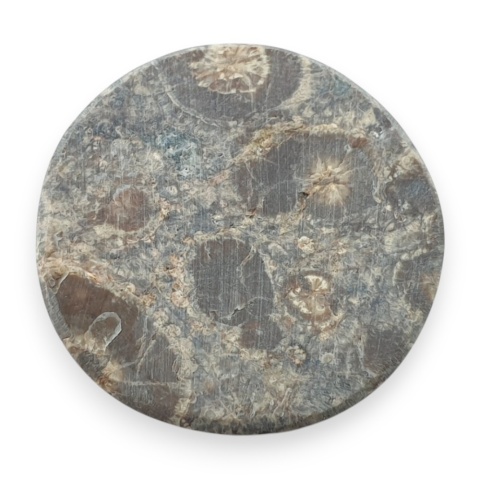 Jaspis leopardzi kaboszon fi 27 mm nr 89