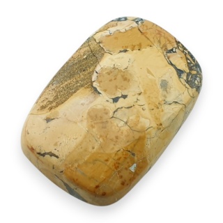 Jaspis maligano kaboszon 24x16 mm nr 92