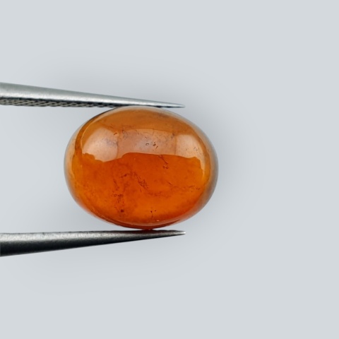 Hessonite garnet cabochon 11x9 mm no 193