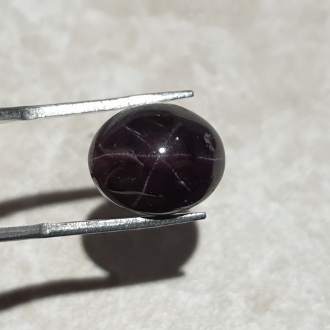 Star garnet cabochon 14x11 mm no 185