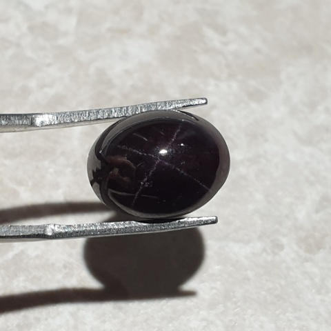 Star garnet cabochon 14x11 mm no 221