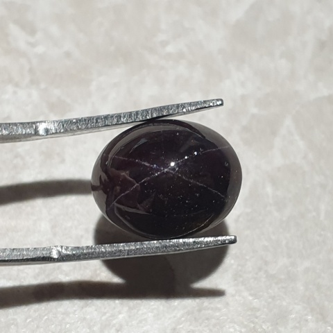 Star garnet cabochon 14x11 mm no 237