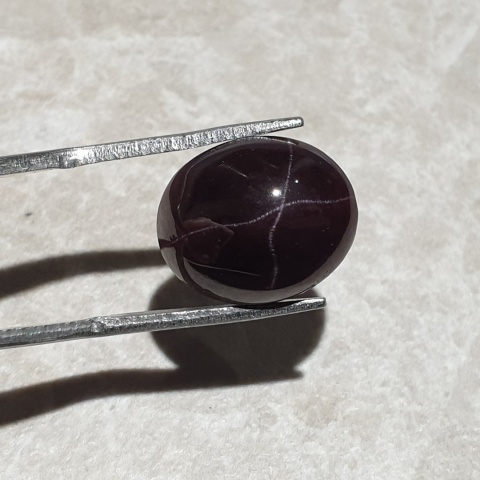 Star garnet cabochon 14x12 mm no 229