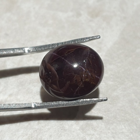 Star garnet cabochon 14x12 mm no 257