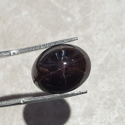 Star garnet cabochon 15x12 mm no 169
