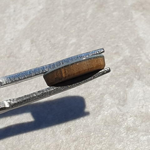 Opal australijski doublet 10x8 mm nr 102