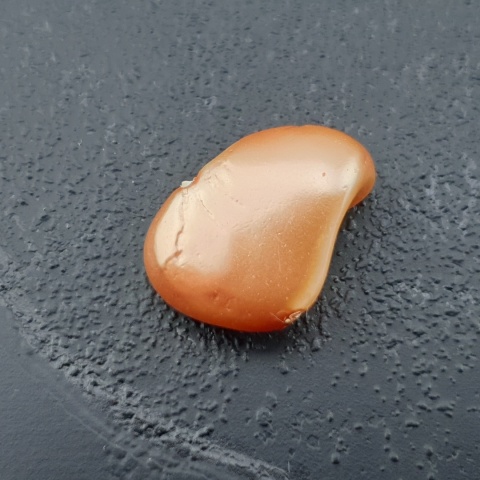 Seashell bryłka z dziurką 15x11 mm nr 177