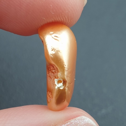 Seashell bryłka z dziurką 15x11 mm nr 177