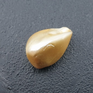 Seashell bryłka z dziurką 16x11 mm nr 199