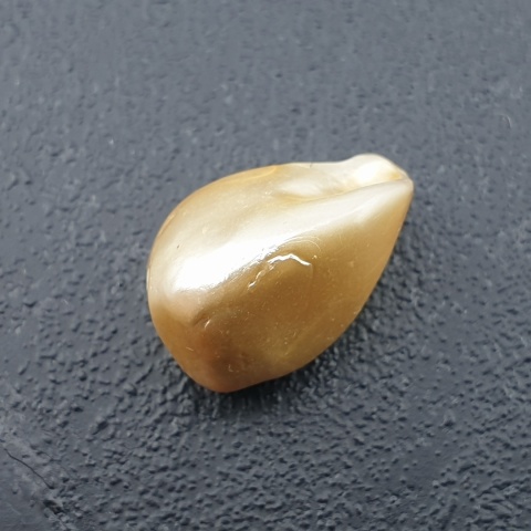 Seashell Nugget with Hole 16x11 mm no 199