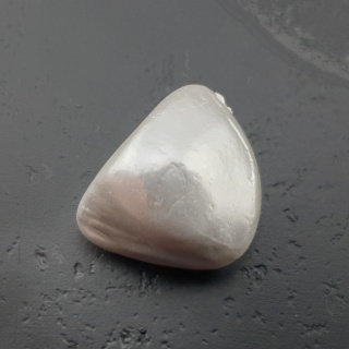 Seashell bryłka z dziurką 16x15 mm nr 105