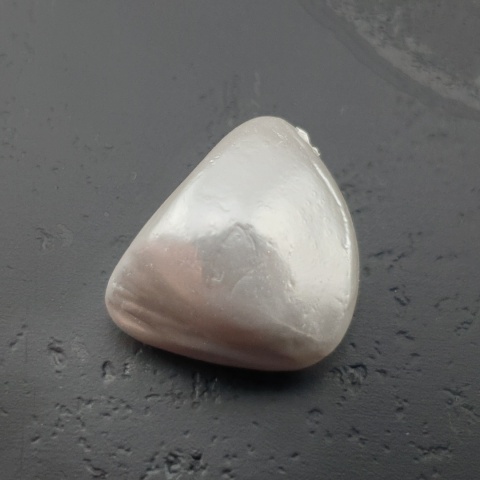 Seashell Nugget with Hole 16x15 mm no 105