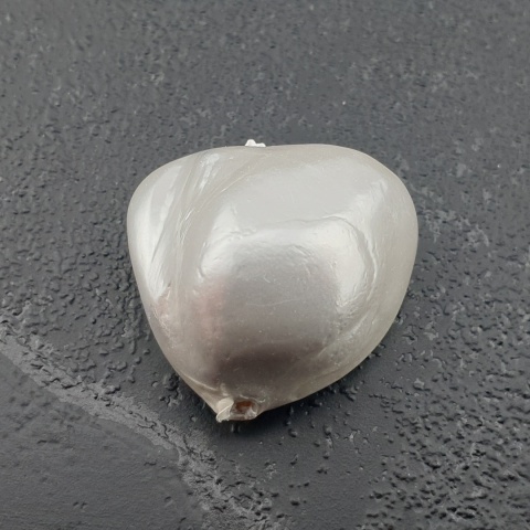 Seashell Nugget with Hole 18x16 mm no 15