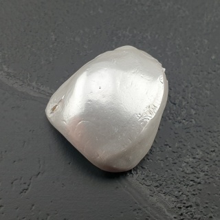 Seashell bryłka z dziurką 18x16 mm nr 57