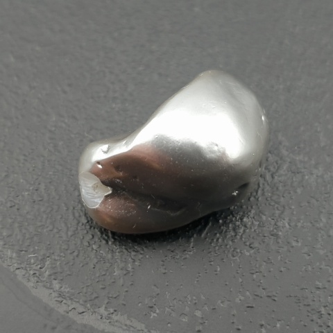 Seashell bryłka z dziurką 19x13 mm nr 274