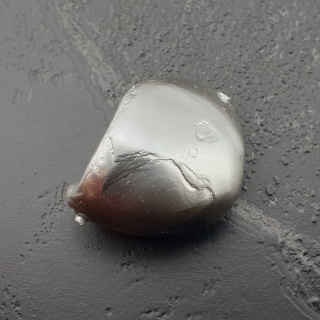 Seashell bryłka z dziurką 19x14 mm nr 227